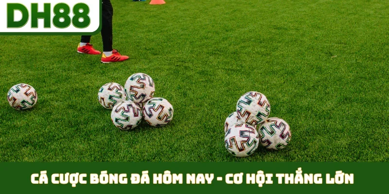 Cá cược bóng đá hôm nay