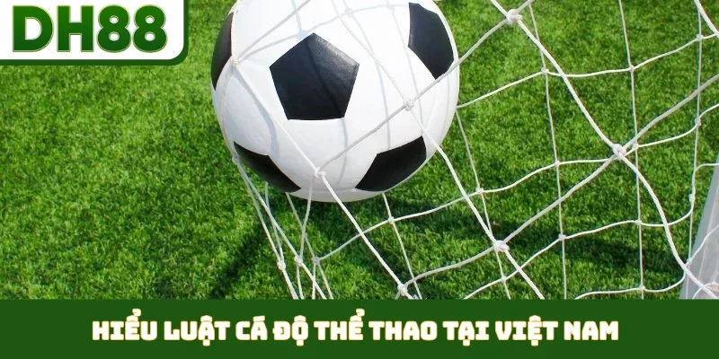 Hiểu luật cá độ thể thao tại Việt Nam