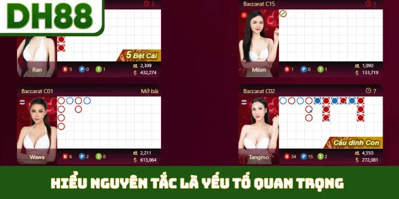 Hiểu nguyên tắc là yếu tố quan trọng