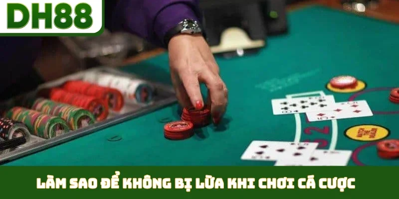 Làm sao để không bị lừa khi chơi cá cược chi tiết