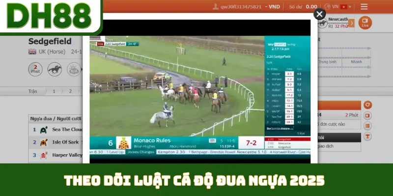 Theo dõi luật cá độ đua ngựa 2025