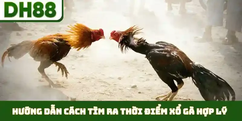 điểm xổ gà hợp lý